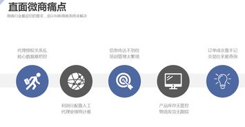 酥咔代理商下单软件开发 高效赋能，成熟案例解析